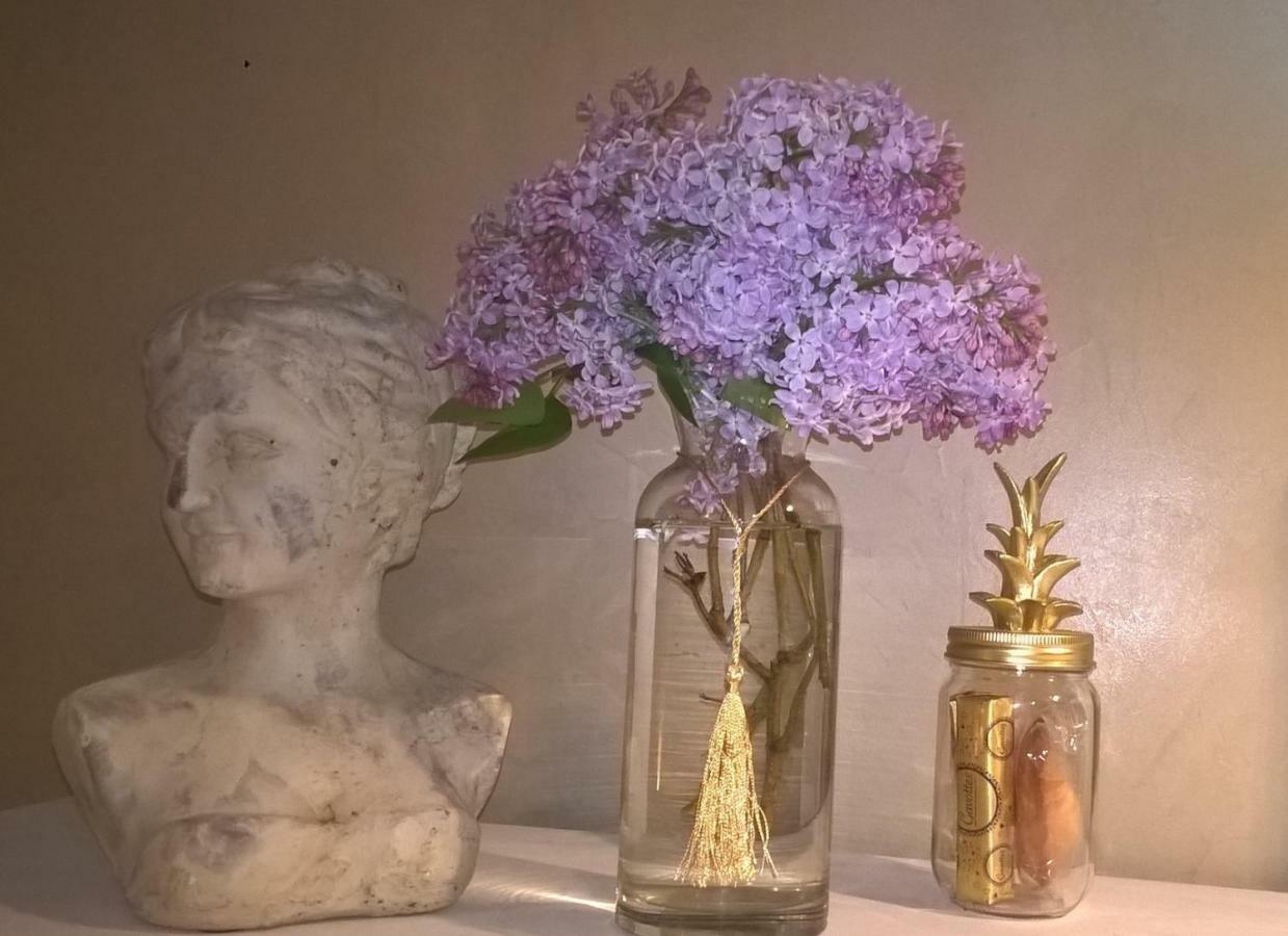 Le Clos Manceau Bed & Breakfast Le Mans Dış mekan fotoğraf